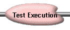 Test Execution