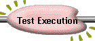 Test Execution